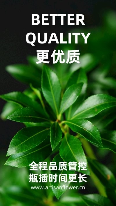 匠人花材客户端4