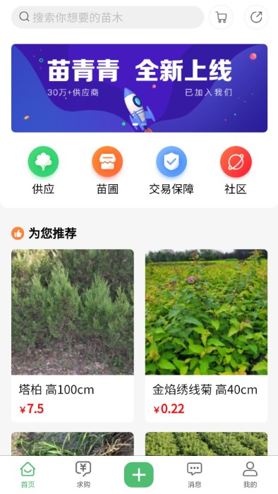 苗青青app4