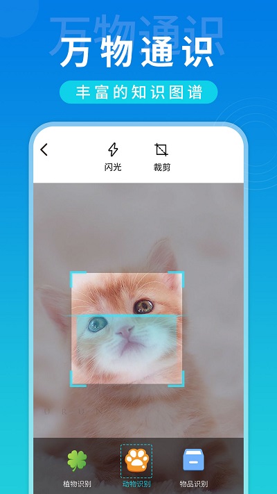 全局扫描app