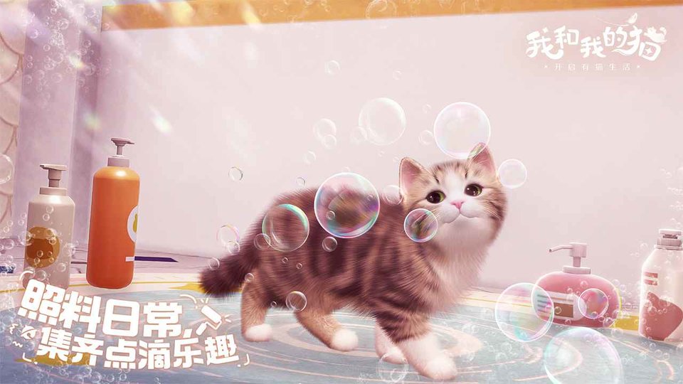 我和我的猫游戏